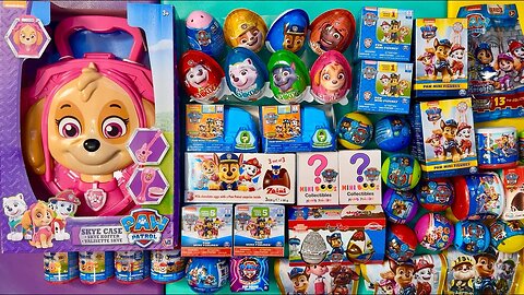 HUGE PAW PATROL SURPRISES 🐶 MYSTERY BLIND BOXES Satisfying ASMR Collection