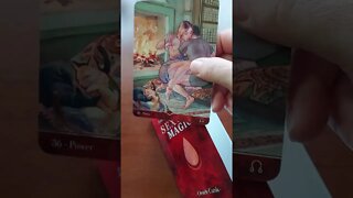 Unboxing The Sexual Magic Oracle cards by Laura Tuan and Marco De Luca