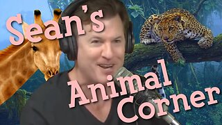 Sean's Animal Corner (Episode 229)