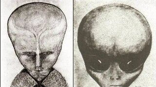 Most Aliens Aren't From Outer Space! You Need to Watch This!