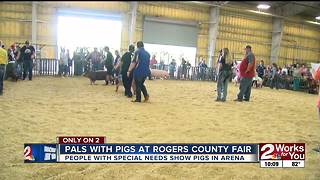 Pals with pigs at Rogers County Fair