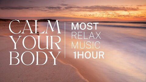 2023 New Music to Calm Your Body - 1 Full Hour