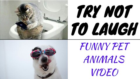 Try Not To Laugh Watching Funny Animals Video Series Part #1
