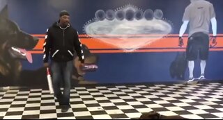 Viral video of local dog trainer causing outrage