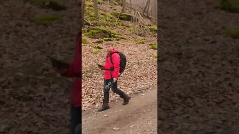 Hiking On The Bruce Trail In Ontario #short #shortvideo #shortsvideo #shorts #hiking