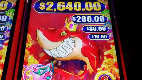 NEW SHARK'S LOCK slot machine, I POP the PIG and got the FREE SPINS 😎