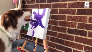 Watch This Talented Australian Shepherd Paint Masterpieces for Charity