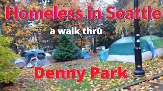 A Walk thru Denny Park Homeless Camp Downtown Seattle