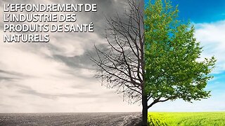 SOIGNEZ-VOUS - L'EFFONDREMENT DE L'INDUSTRIE DES PRODUITS NATURELS