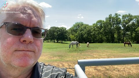 Horse whispering in Texas