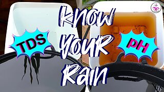 How to prepare Rain Water for nutrients & orchids | Is pH & TDS relevant Rain Water #ninjaorchids