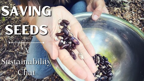 Saving Vegetable Seeds for Sustainability - Let's Chat!