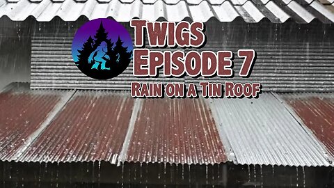 TreeWalker's Twigs Episode 7: Rain on a Tin Roof
