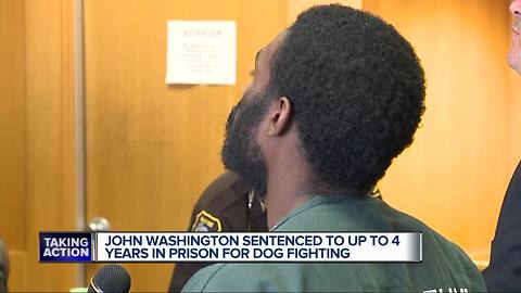 Man sentenced to up to 4 years in prison for dog fighting