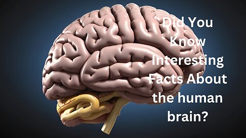 Did You Know Interesting Facts About the human brain?