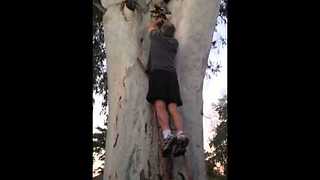 Man Rescues Baby Koala, Returns It To Mother