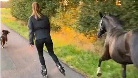 Cute Animals - Horse Vs Dog Running With Mom Owner