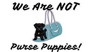 We Are NOT Your Purse Puppies