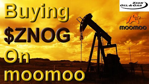 ZNOG MooMoo Wealth Transfer - Zion Oil And Gas - Buying $ZNOG On MooMoo #ZNOG