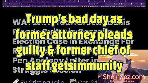 Trump's bad day: Former attorney pleads guilty & former chief of staff gets immunity-SheinSez 332