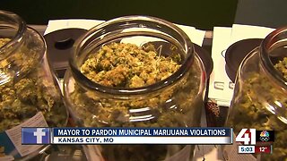 Mayor to pardon municipal marijuana violations