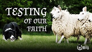 #826 // TESTING OF OUR FAITH - LIVE