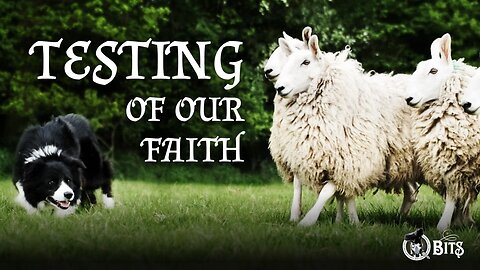 #826 // TESTING OF OUR FAITH - LIVE