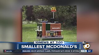 World's smallest McDonald's is for bees?