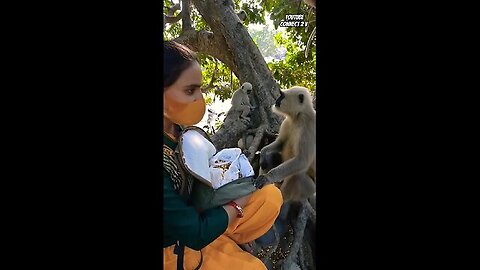 Mankey funny video 🐒🐒🐒🐒🐒🐒