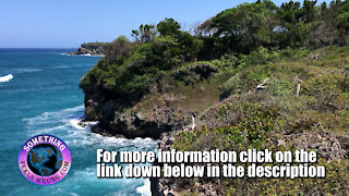 Oceanfront Land for Sale in Abreu