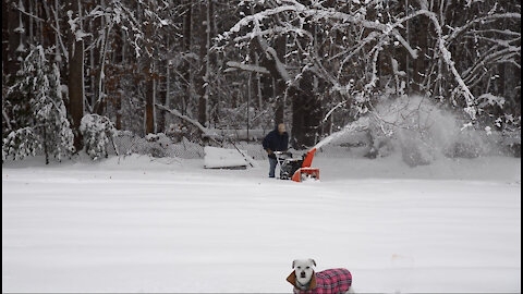 Ariens 24 Platinum SHO 369cc