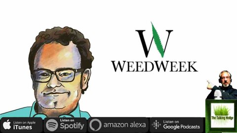 Fireside Chat with Alex Halperin of WeedWeek