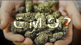 Big Ag Wants to Sell You GMO Marijuana