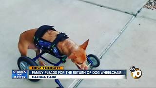 Family searching for Rexy's wheelchair