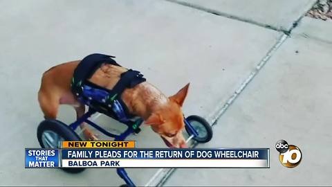 Family searching for Rexy's wheelchair