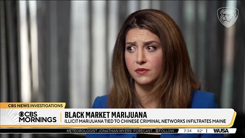 CBS Admits Legalizing Weed Doesn't Stop Black Market Sales, Boosts Them