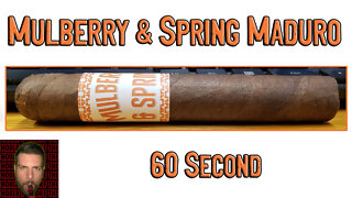 60 SECOND CIGAR REVIEW - Mulberry & Spring Maduro