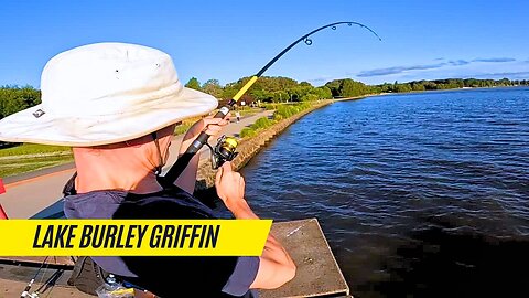 Lake Burley Griffin Fishing - COLOSSAL CARP!