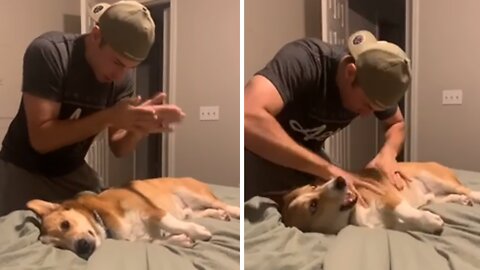 Oscar-worthy pup shows off his amazing acting skills