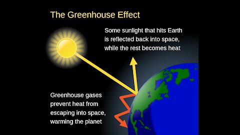 The Green House Effect