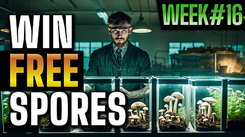 Got Mushrooms? Grow your own with a spore syringe - Week 16 giveaway