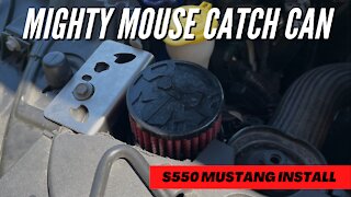 S550 Mustang Mighty Mouse Catch Can Install