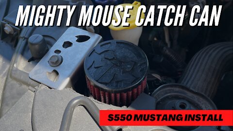 S550 Mustang Mighty Mouse Catch Can Install