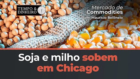 Soja e milho sobem em Chicago e Petróleo confirma o suporte dos US$ 65 o barril