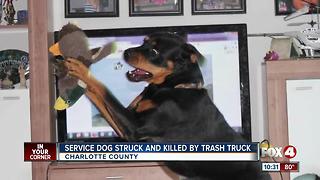 Truck kills service dog