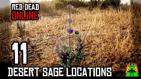 Red Dead Redemption 2 Online - DESERT SAGE LOCATIONS