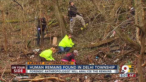 Human remains found in Delhi Township