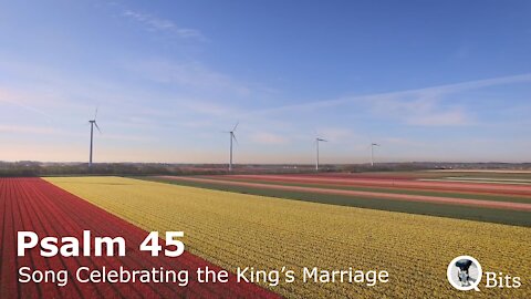 PSALM 045 // A SONG CELEBRATING THE KING’S MARRIAGE
