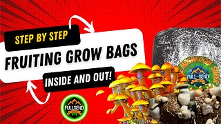 All In One Super Grow bag!! Break and Shake - Full start to finish Mix up