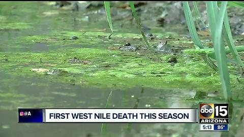 Maricopa County confirms first West Nile death this season